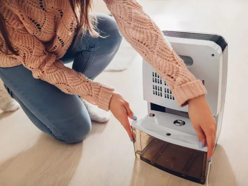 woman changing dehumidifier water tank