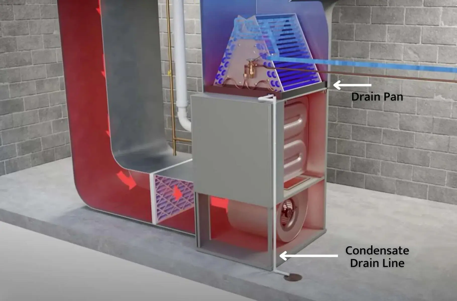 Condensate Drain Line