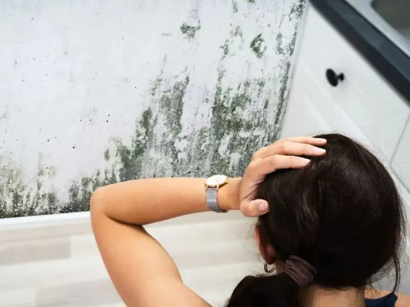 mold problems