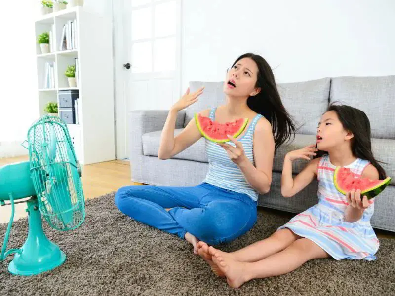 A woman and child sit in front of a fan holding watermelon, likely cooling off in the summer heat