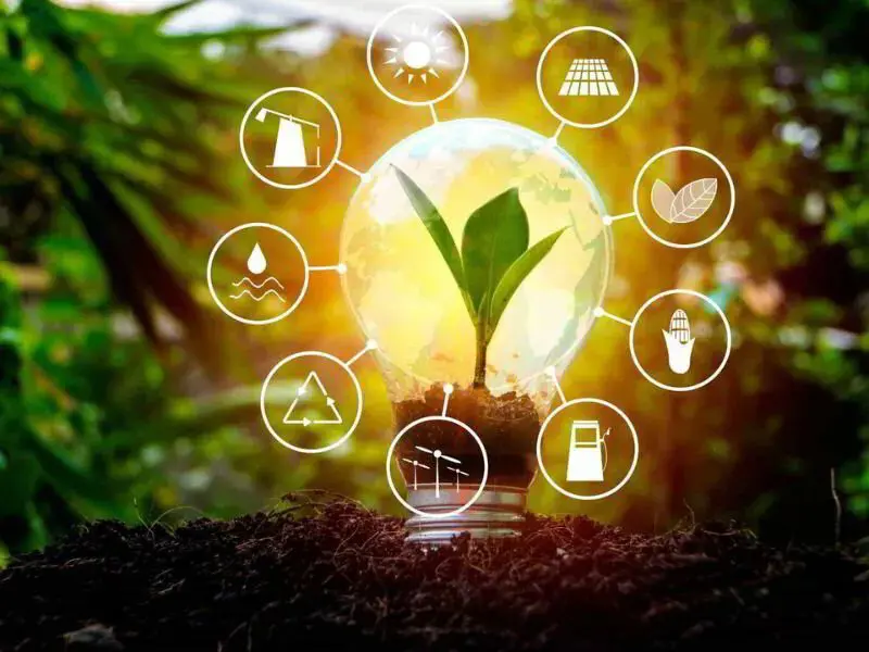 renewable energy